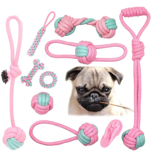 Pet Dog Chew Toys